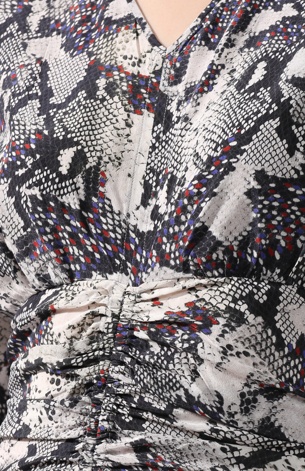 Isabel Marant Dress with animalistic print Multicolor