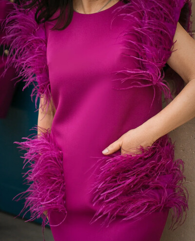 Image 4 of Diroy Fuchsia Feathers Dress