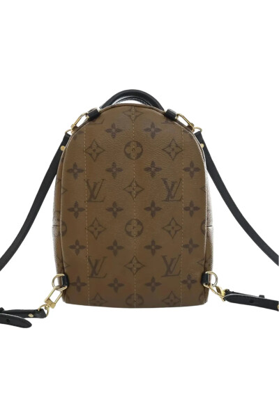 Image 5 of Louis Vuitton Brown Monogram Reverse Mini Palm Springs backpack