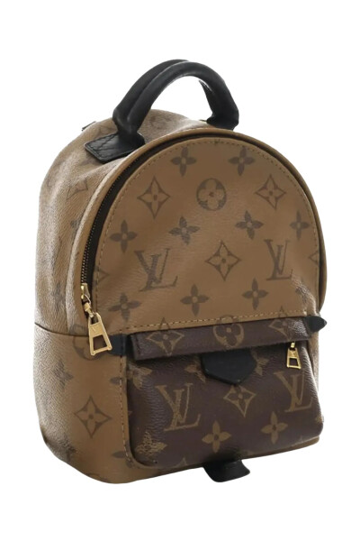 Image 3 of Louis Vuitton Brown Monogram Reverse Mini Palm Springs backpack